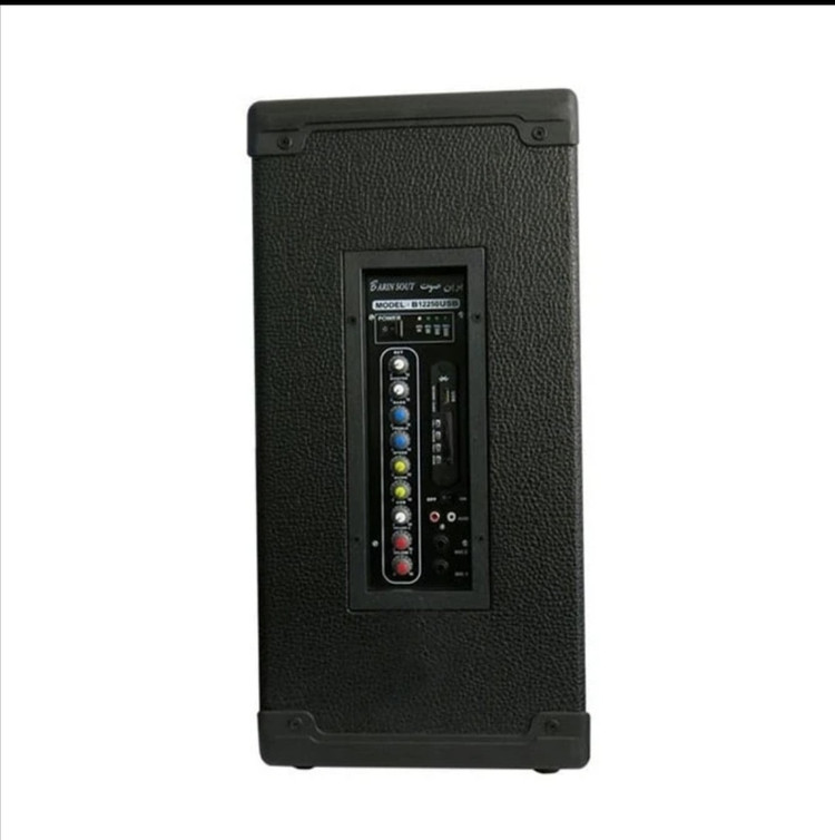 اکو همراه 12+6 اینچ برین صوت 12250 با میکروفن بیسیم